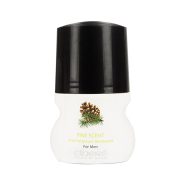 دئودورانت مردانه سینره با رایحه کاج 50 میلی لیتر