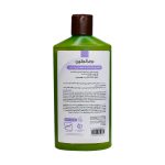 شامپو فاقد سولفات تنظیم کننده چربی کف سر درم انجلین 250 میلی لیتر