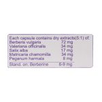 کپسول رها گل دارو 30 عدد