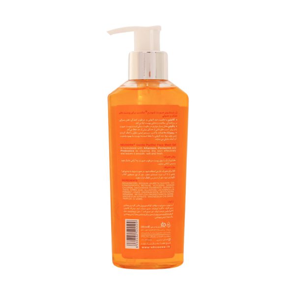 ژل شستشوی صورت نئودرم مدل Gentle Purifier مناسب پوست نرمال و خشک 200 میلی لیتر