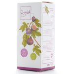 شربت انجیر فیژیتول 120 میلی لیتری - Image 2